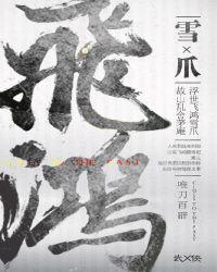 飞鸿雪爪打一最佳数字