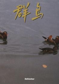 群鸟飞过湖面动态描写