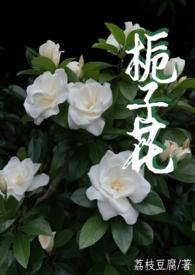 栀子花 (父女1v1)作者荔枝豆腐